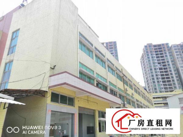  有注塑喷油移印丝印环评长安镇沙头出租一楼厂房可分租