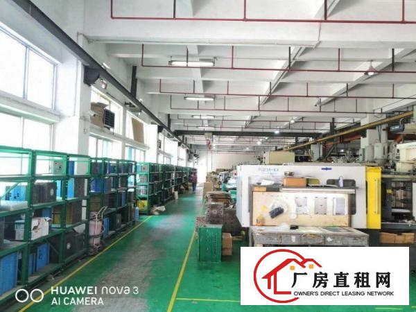  有注塑喷油移印丝印环评长安镇沙头出租一楼厂房可分租
