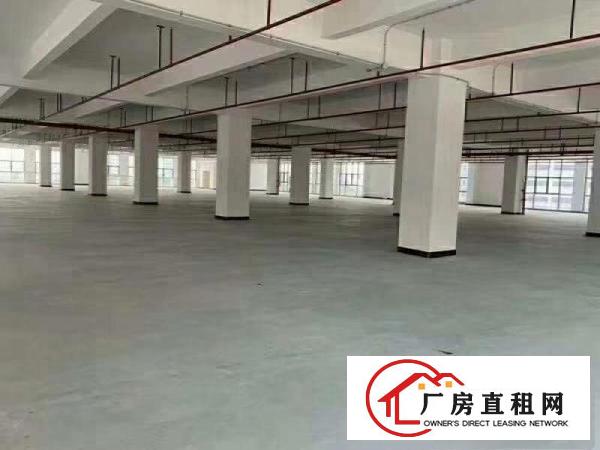  长安滨海湾新区沿江高速口，全新独栋厂房，红本消防等证件齐全