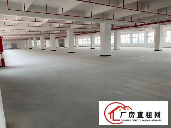  长安滨海湾新区沿江高速口，全新独栋厂房，红本消防等证件齐全
