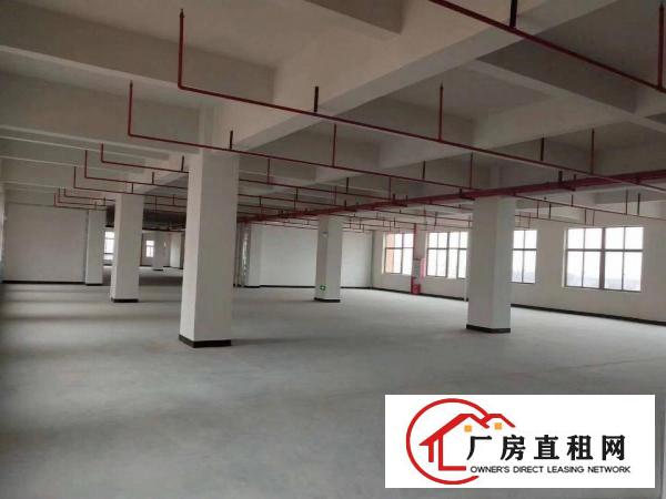  长安滨海湾新区沿江高速口，全新独栋厂房，红本消防等证件齐全