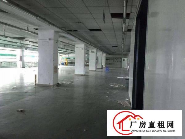  长安新出二楼3000平方，可以分租，带地坪漆现成办公室