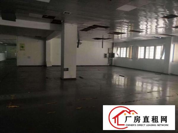  长安锦厦一楼新出900平厂房出租带玻璃办公室车间带地坪漆