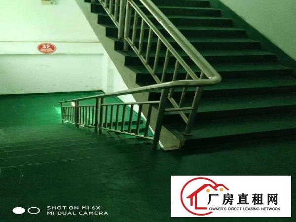  长安镇出租450平350平300平1100平600平厂房可分