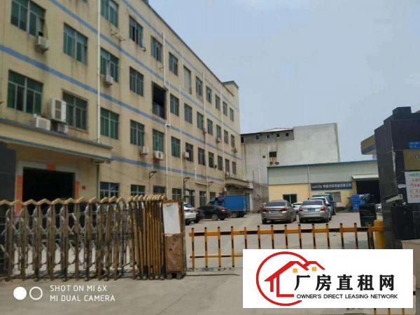  长安镇出租450平350平300平1100平600平厂房可分