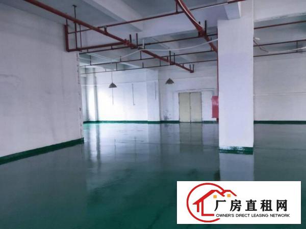  长安整栋全新厂房出租大小面积都有靠近沿江高速出口附近