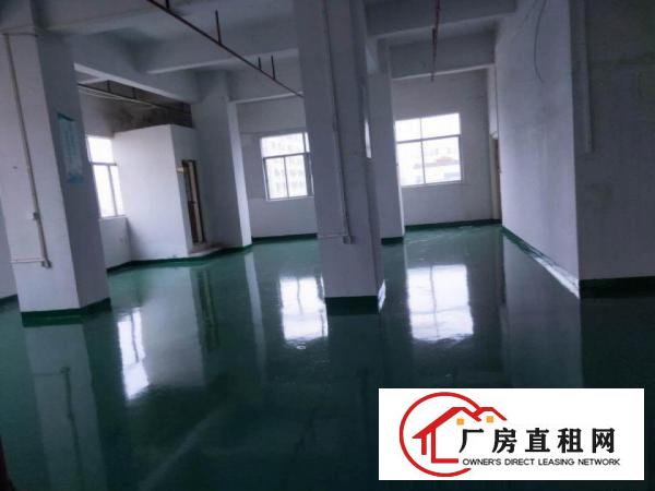  长安整栋全新厂房出租大小面积都有靠近沿江高速出口附近