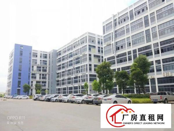  长安滨海湾新区重工楼上全配套南方电网厂房