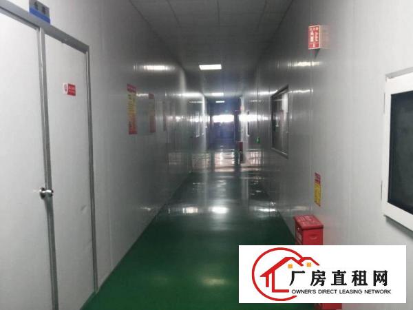  长安滨海湾新区重工楼上全配套南方电网厂房