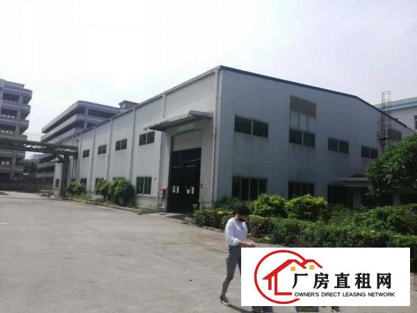  长安上沙新出5500平原房东独院单一层钢构厂房出租仓库出租