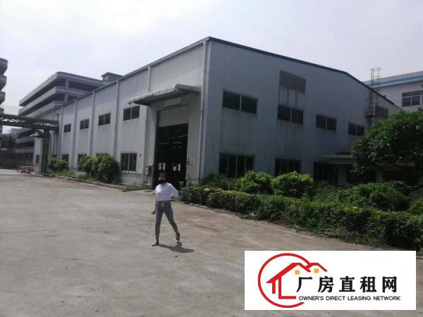  长安上沙新出5500平原房东独院单一层钢构厂房出租仓库出租