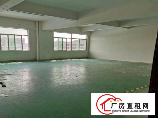  厦岗楼上750平方厂房出租，现成办公室装修地坪漆水电一应俱全
