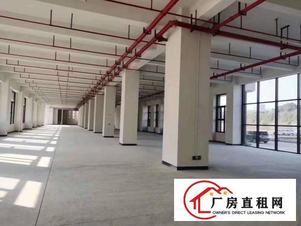  长安镇厦岗原房东全新重工业厂房28000平方低价招租，可分租