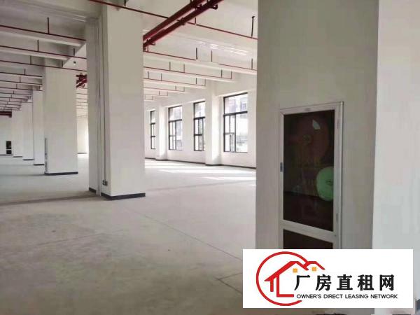  长安镇厦岗原房东全新重工业厂房28000平方低价招租，可分租