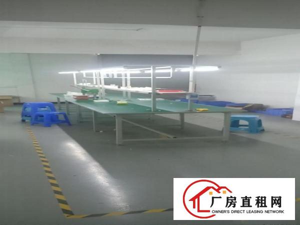  宵边三楼480平方现成电子烟厂房出租