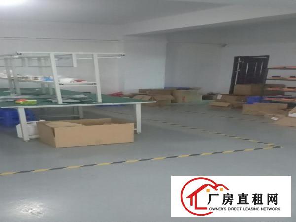 宵边三楼480平方现成电子烟厂房出租