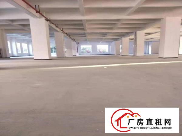  长安镇沙头原房东全新重工业厂房12楼9500平方，面积无公