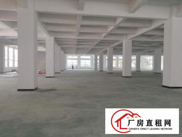  长安镇沙头原房东全新重工业厂房12楼9500平方，面积无公