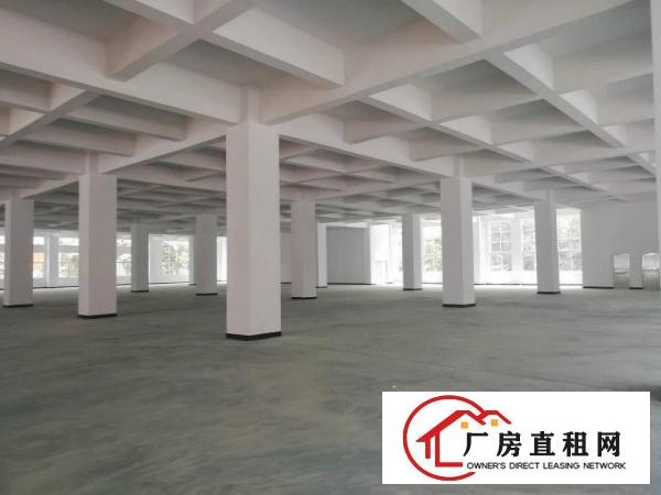  长安镇沙头原房东全新重工业厂房12楼9500平方，面积无公