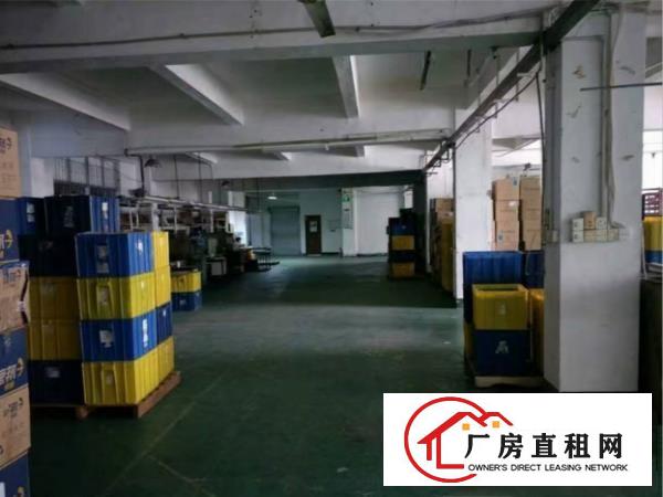  长安镇厦边出租一楼1000平厂房有办公室可分租空地大
