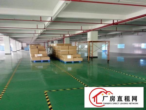  沙头新出二楼2000平方，一手房东豪华装修厂房
