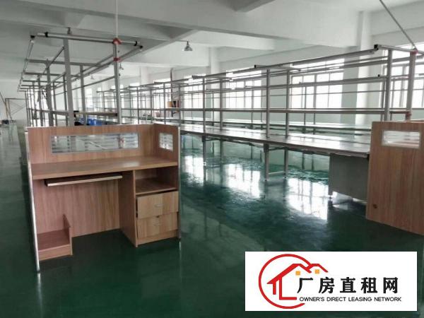  沙头新出二楼2000平方，一手房东豪华装修厂房