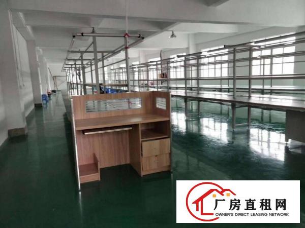  沙头新出二楼2000平方，一手房东豪华装修厂房