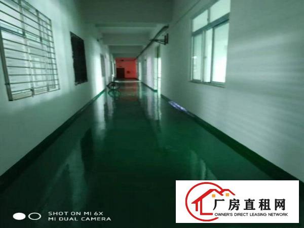  街口新出二楼带豪华装修1100平方米厂房出租