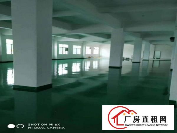  街口新出二楼带豪华装修1100平方米厂房出租