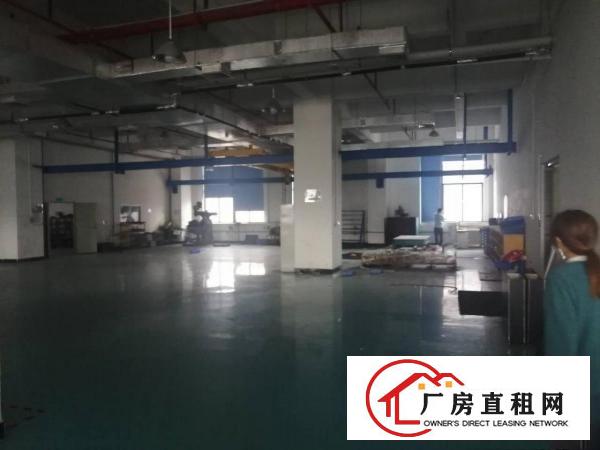  长安新出一楼二楼各3200平带百万装修厂房！
