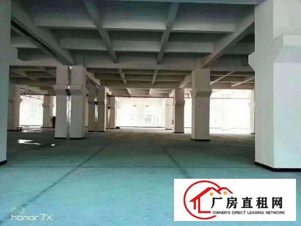  长安靠近深圳新出1楼1300平米水电齐全精装修出租