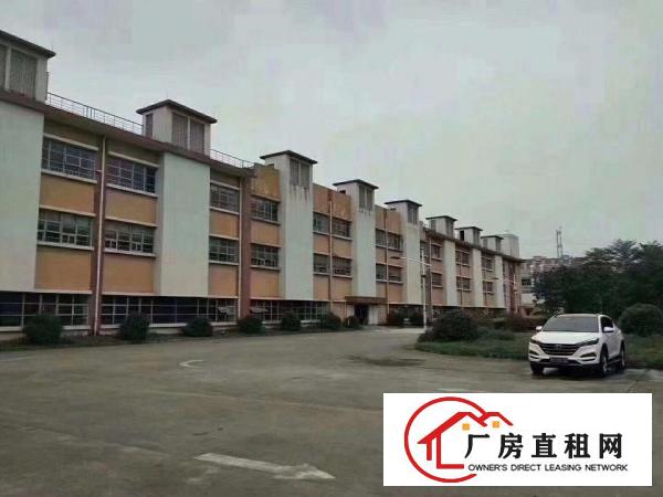  长安靠近深圳新出1楼1300平米水电齐全精装修出租