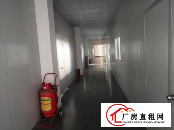  长安镇乌沙大润发旁新出楼上1500豪华装修水电齐全