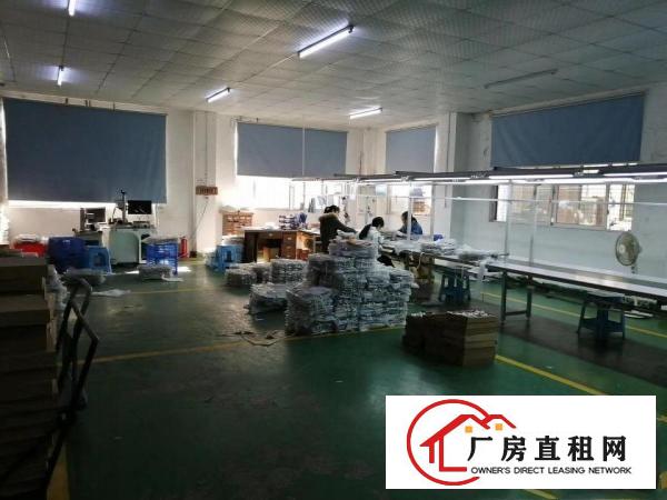  长安镇乌沙大润发旁新出楼上1500豪华装修水电齐全