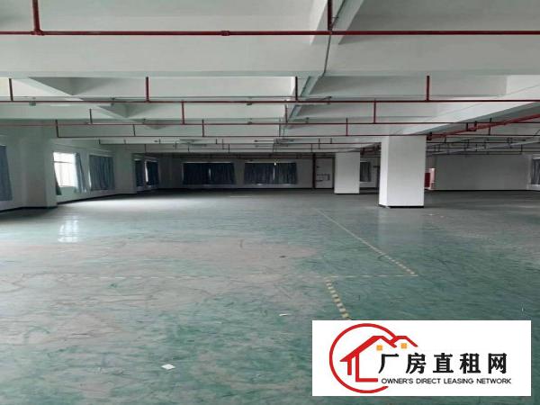 长安新安大桥新出三楼1200平办公室精装修厂房出租