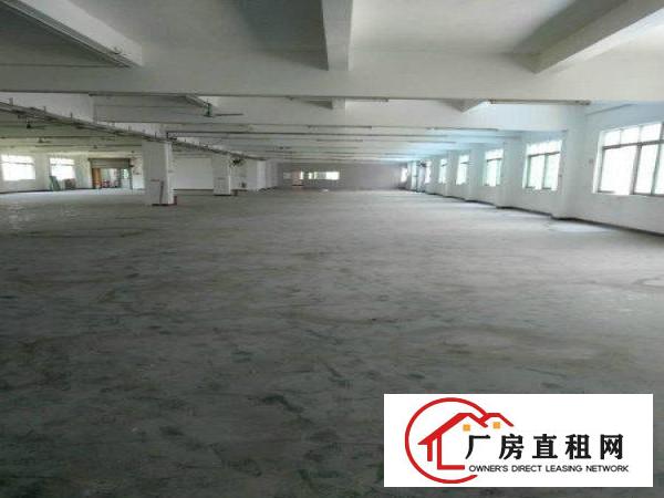 长安新出一楼600平米带装修带环评厂房招租