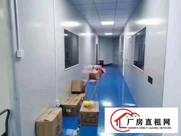  新出二楼750平方，豪华装修厂房