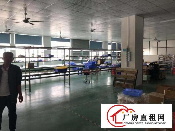  长安沙头社区，新出楼上350平带简装修，车间水电齐全