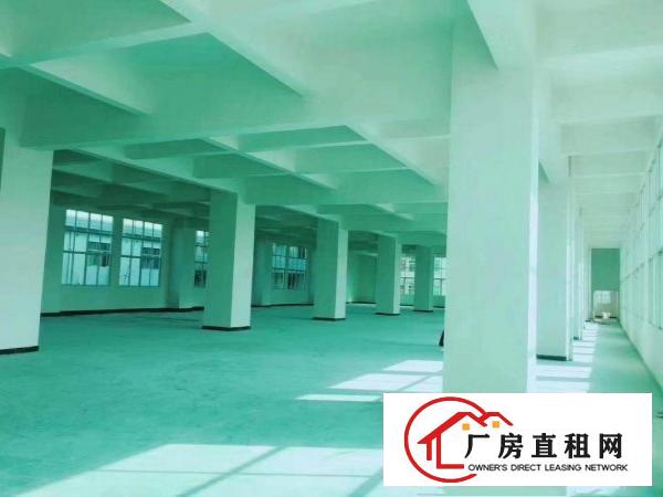  全新厂房位置极佳1~4层一楼高度七米楼上五米，两部全新电梯