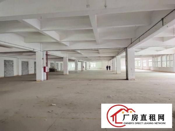  长安新民靠近深圳新出独门独院20000平方，大小分租
