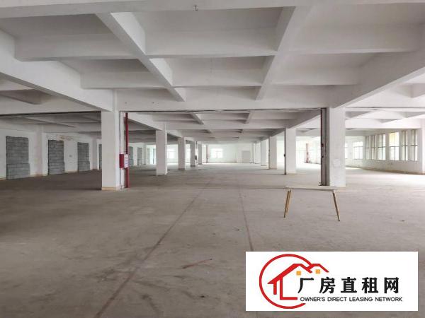  长安新民靠近深圳新出独门独院20000平方，大小分租