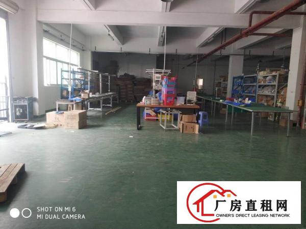  长安新安大桥旁原房东独院厂房4500平可分租交通好