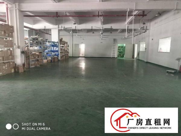  长安新安大桥旁原房东独院厂房4500平可分租交通好