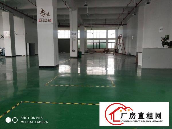  长安新安大桥旁原房东独院厂房4500平可分租交通好