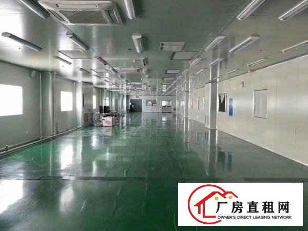  长安新出三楼1680平带办公室精装修厂房出租