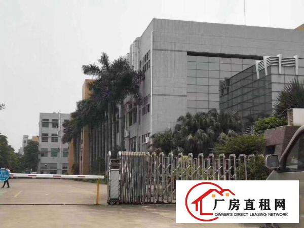  沙头南区一楼6米有行车1500平无公摊出租