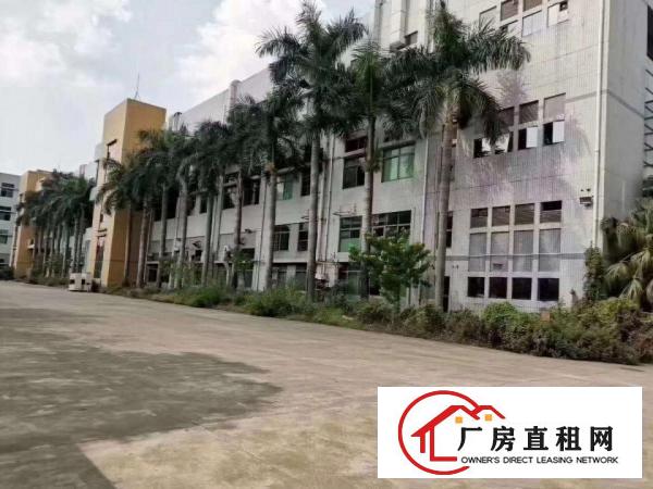  沙头南区一楼6米有行车1500平无公摊出租