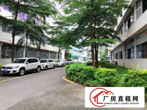  长安镇乌沙原房东出租一楼600平厂房有办公室可办环评可分租