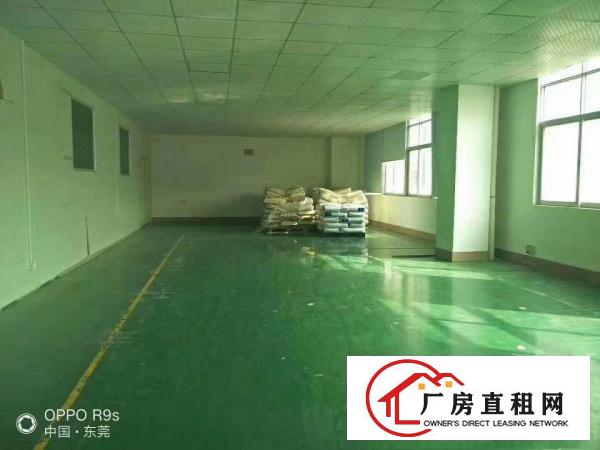  长安镇乌沙新出二楼800平方，水电齐全带地坪漆办公室豪华装修