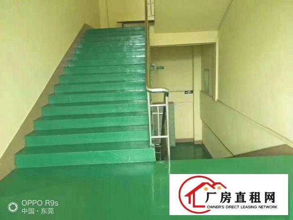  长安镇乌沙新出二楼800平方，水电齐全带地坪漆办公室豪华装修